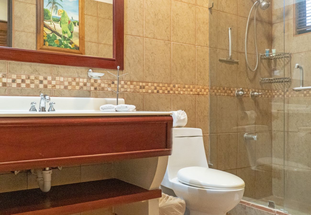 Apartamento en Cabo Velas - Bougainvillea 4101 Condo de lujo - Reserva Conchal