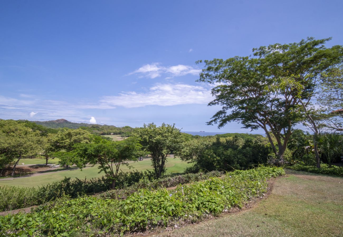 Condominium in Cabo Velas - Bougainvillea 1101 Luxury Condo - Reserva Conchal